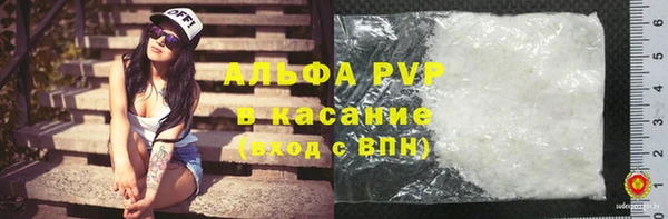 шишки Кукмор