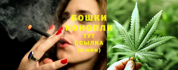шишки Кукмор