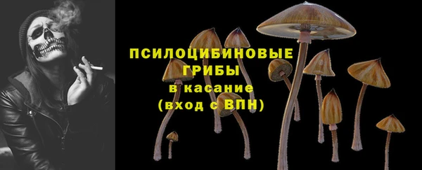 шишки Кукмор