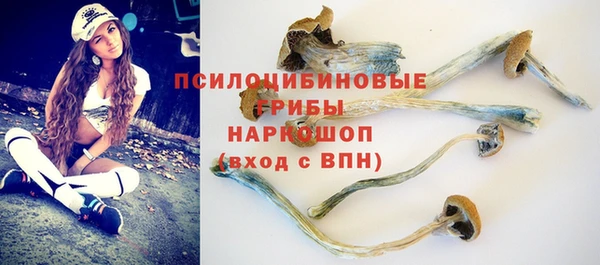 прущий лед Куйбышев
