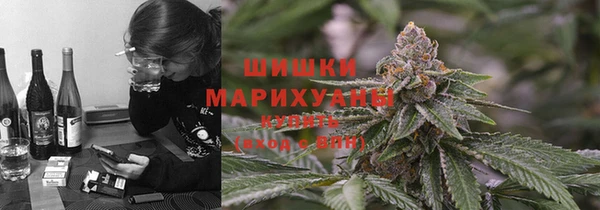 шишки Кукмор