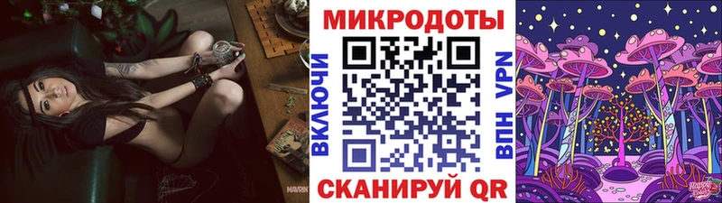 Псилоцибиновые грибы Psilocybine cubensis  Купить где  Кадников 